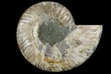 Agatized Ammonite Fossil (Half) - Crystal Chambers #111495-1